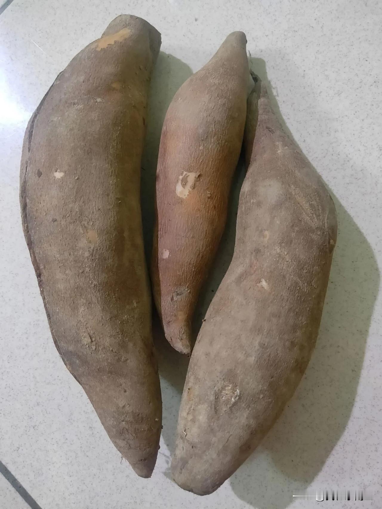 偶不是番薯~偶是天山雪蓮
菊薯又名雪蓮薯或雪蓮果，菊薯的塊根含有豐富的水份與果寡