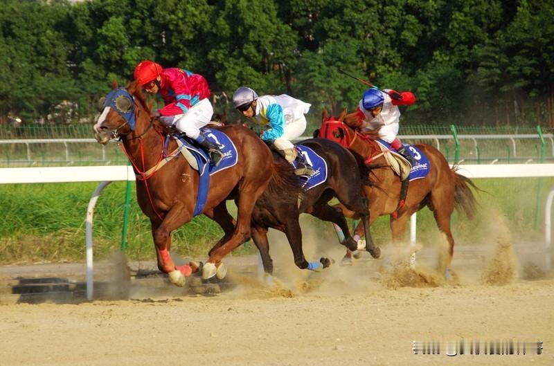 金句分享——
赛马机制，最重要的是不下马

就像在竞争赛道上，只要你还在马上奔跑
