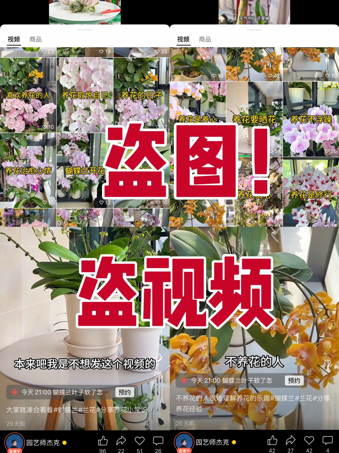 盗图，盗视频，花友们谨防受骗