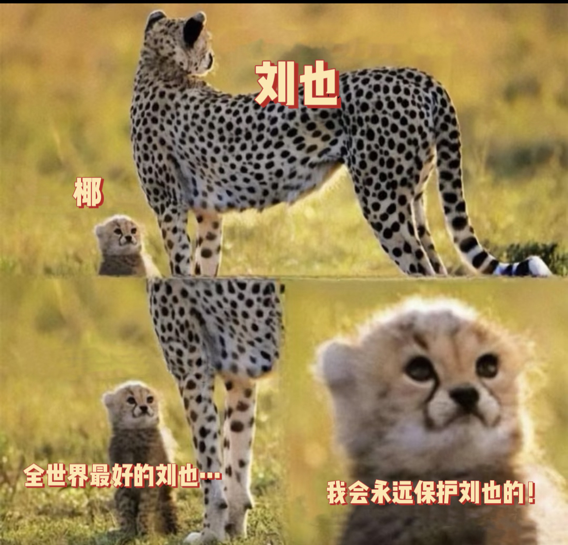 当年扫射哥控的时候，我躲在刘也怀里，连枪声都没听到 