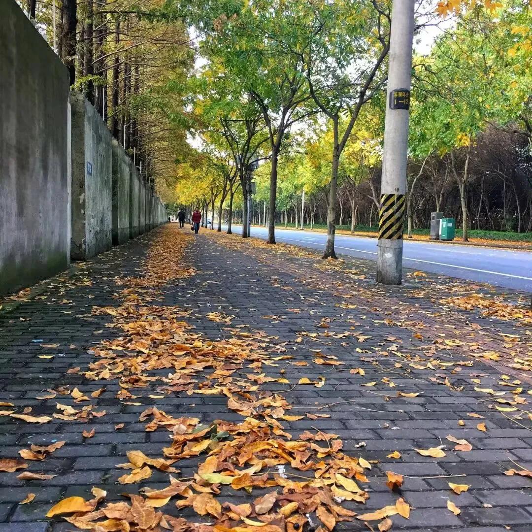 我偷太白酒一樽，
醉墨滔滔写红尘。
梦残人老愿未酬，
天涯何处寄此心．