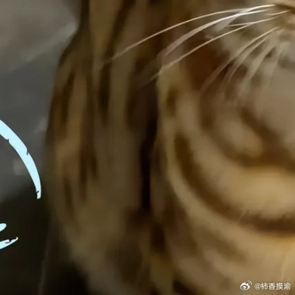 每日一善 生活从不是一帆风顺，心宽才是对抗风浪的底气。做人要懂分寸：穷时别把自己