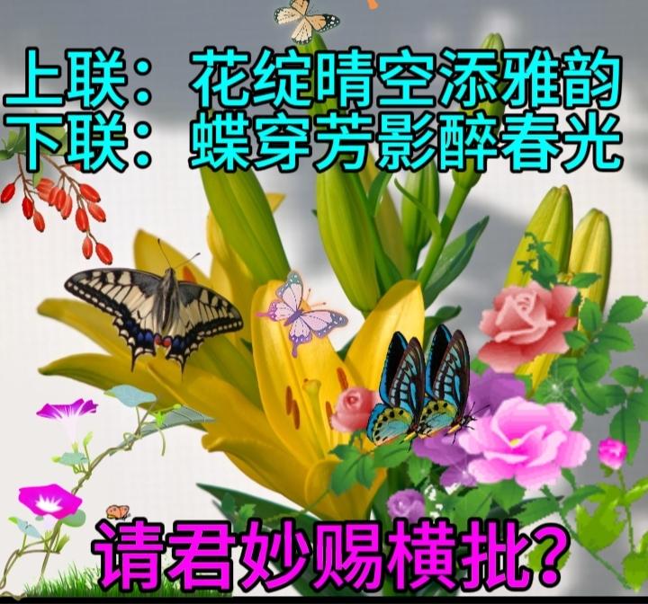 上联：花绽晴空添雅韵
下联：蝶穿芳影醉春光
请君妙赐：横批