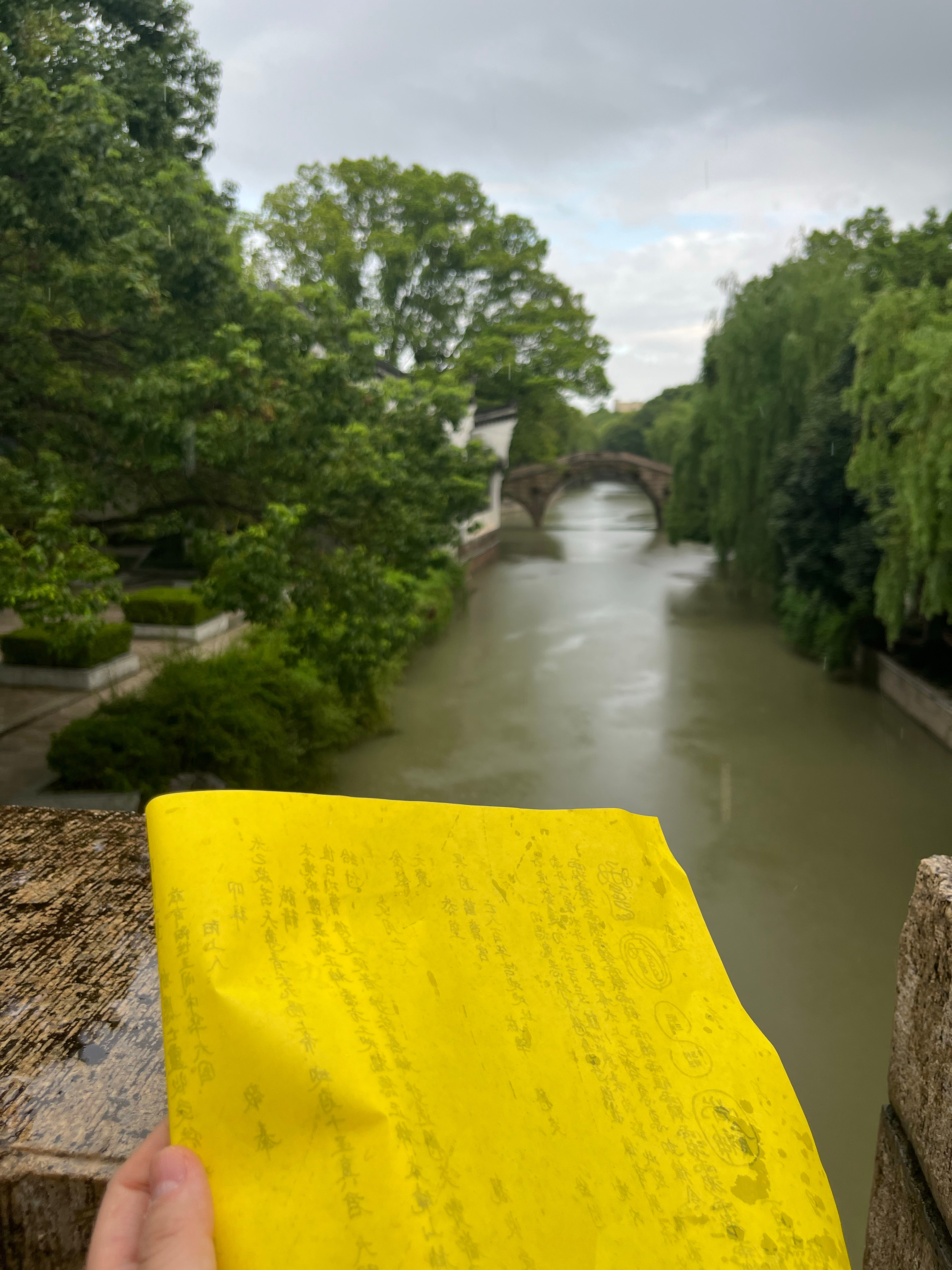 我刚在桥上录完小视频说这样你就可以收到了，话音落开始下大雨[捂嘴哭]真是梦被埋在