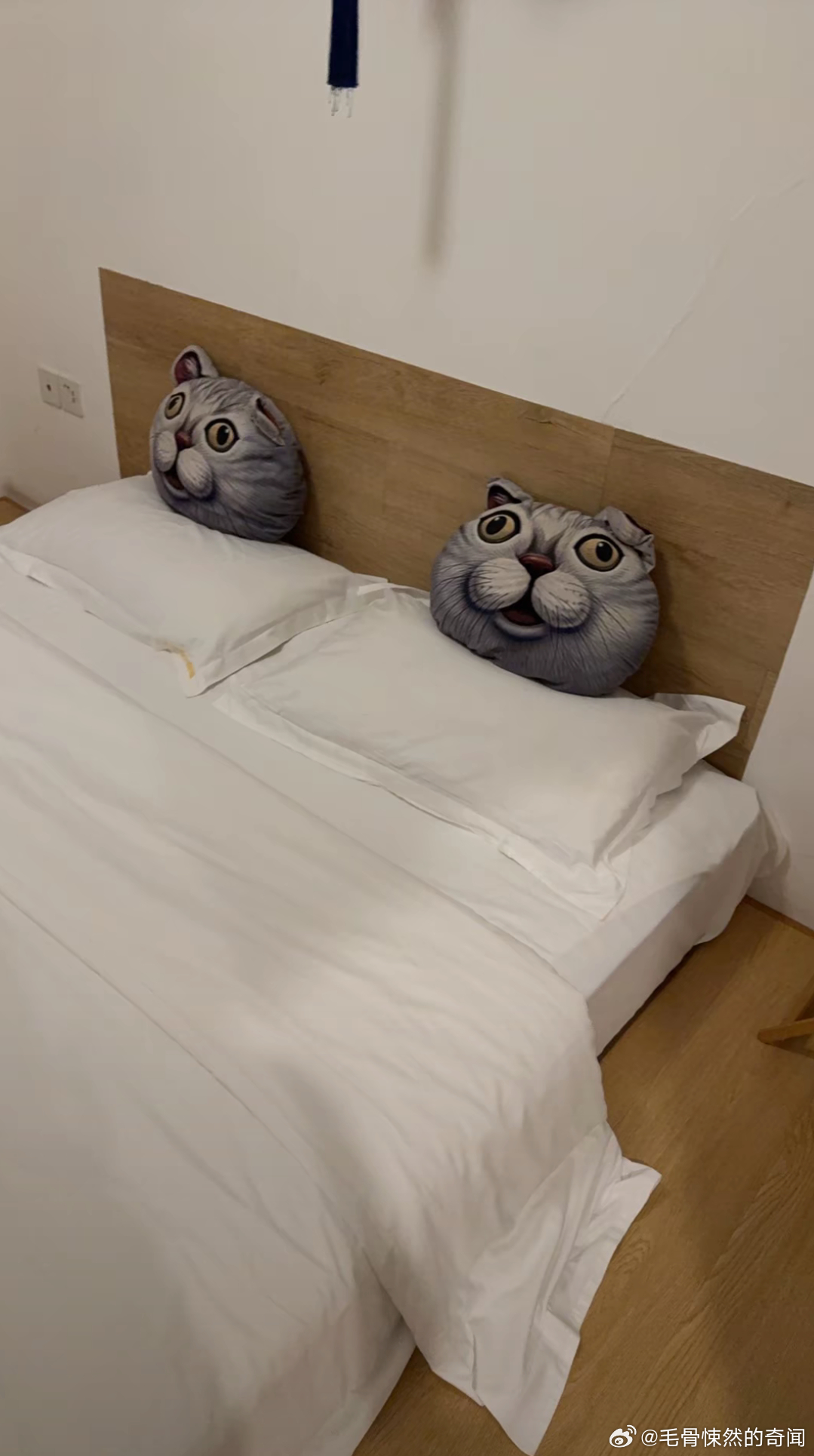 这样的酒店你敢住么 ​​​