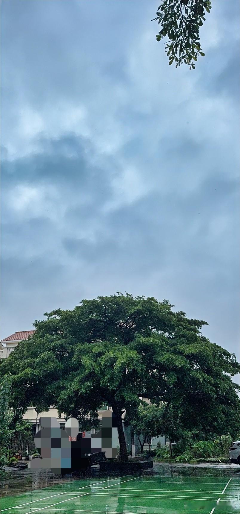 雨中的绿意
如此浓郁
静谧且美好
就如德化的古村落承泽村
于雨中恰似人间仙境
德