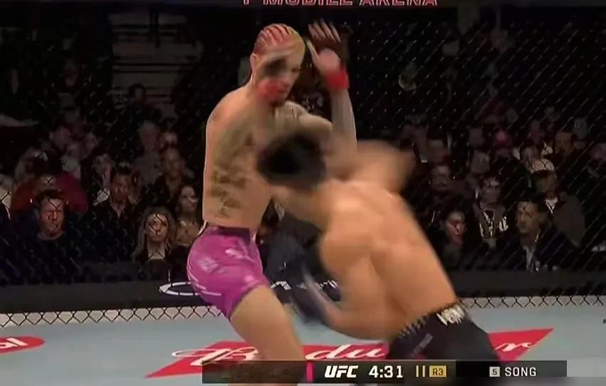 宋亚东输了，赚了10万美金，比赛结束，裁判举起奥马利的手，宋亚东脸上有遗憾，但银