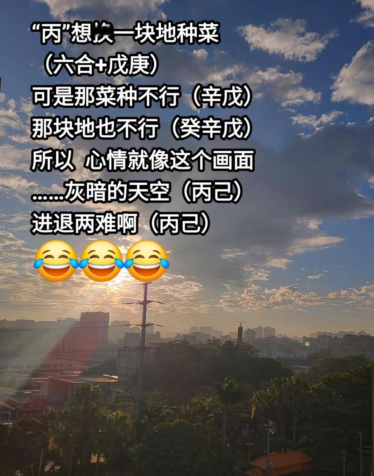 种菜。农村故事