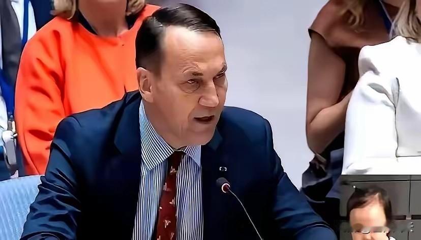 波兰外长的言论，搅动了整个欧洲。这位外长最近声称“中国在冲突中获利”，仅48小时