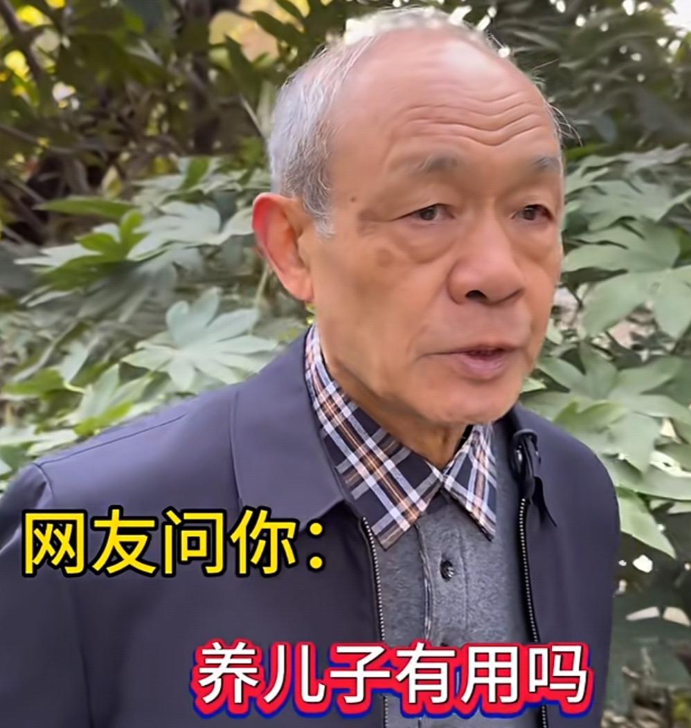 常在手机刷到老杨的小品视频。今天，有网友问老杨：“养儿子有用吗？” 想不到，老杨
