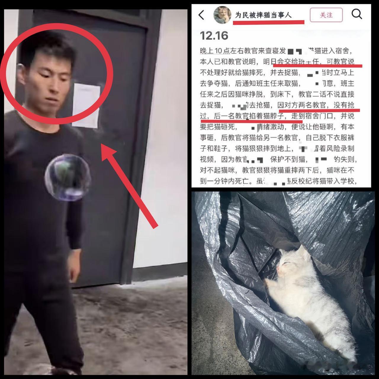 教官声称"学生同意摔死"，但学生方强烈否认，教体局已介入调查。小猫仅几个月大，教