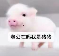 我代 