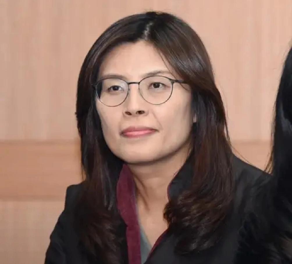 郑丽文终于“摊牌”了！她对德国icon媒体叫嚣“不放弃武力保卫台湾icon的决心