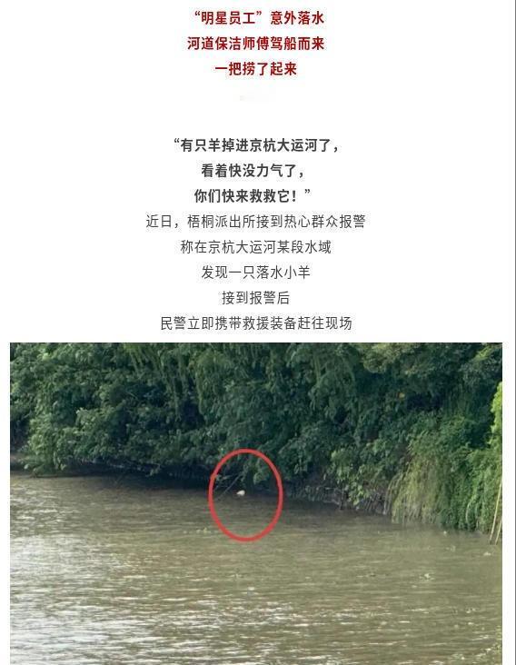 【“明星员工”失足掉入大运河，河道保洁师傅一把捞起】守护的瞬间 平安2025