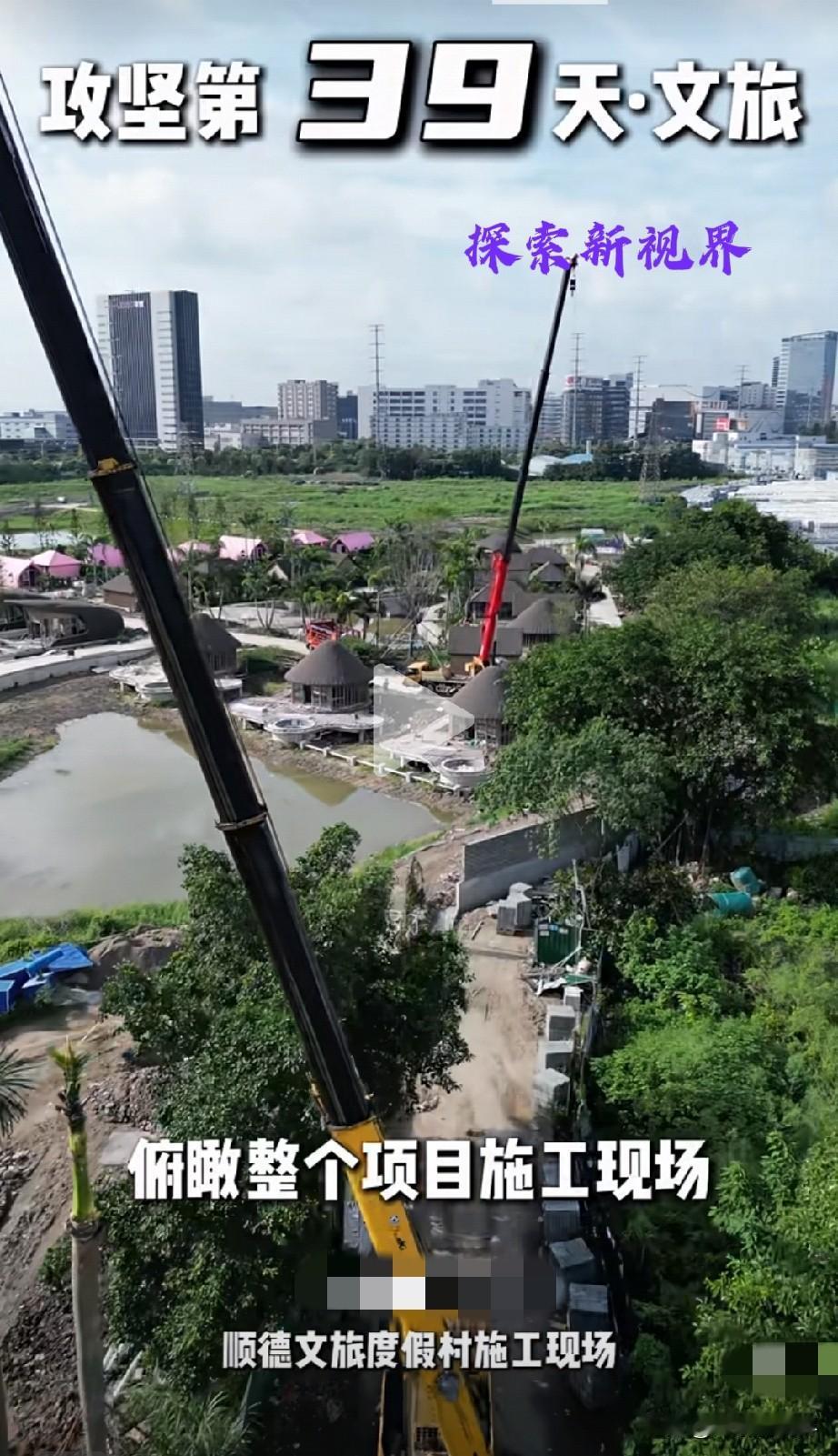 “好大的项目！”佛山顺德文旅度假村：一天100株大乔木种植日常。（如下图所示）那