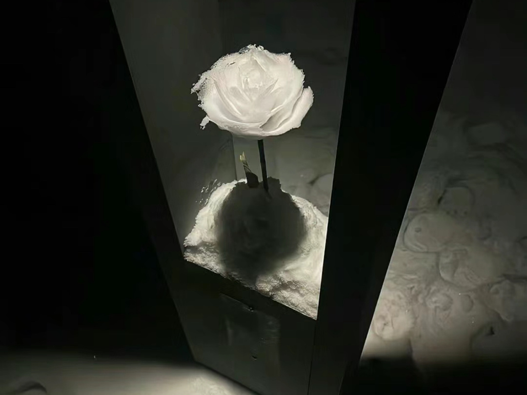 没有人会在意你受了多少委屈  只会在你情绪爆发的时候指责你不懂事. ​​​