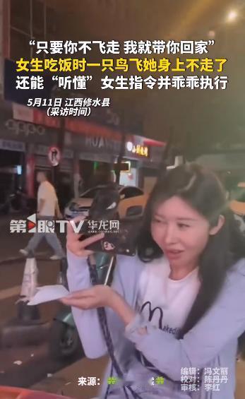 太离谱！5月11日，江西修水夜市曝出一幕罕见画面，一夜刷屏全网。

众所周知，飞