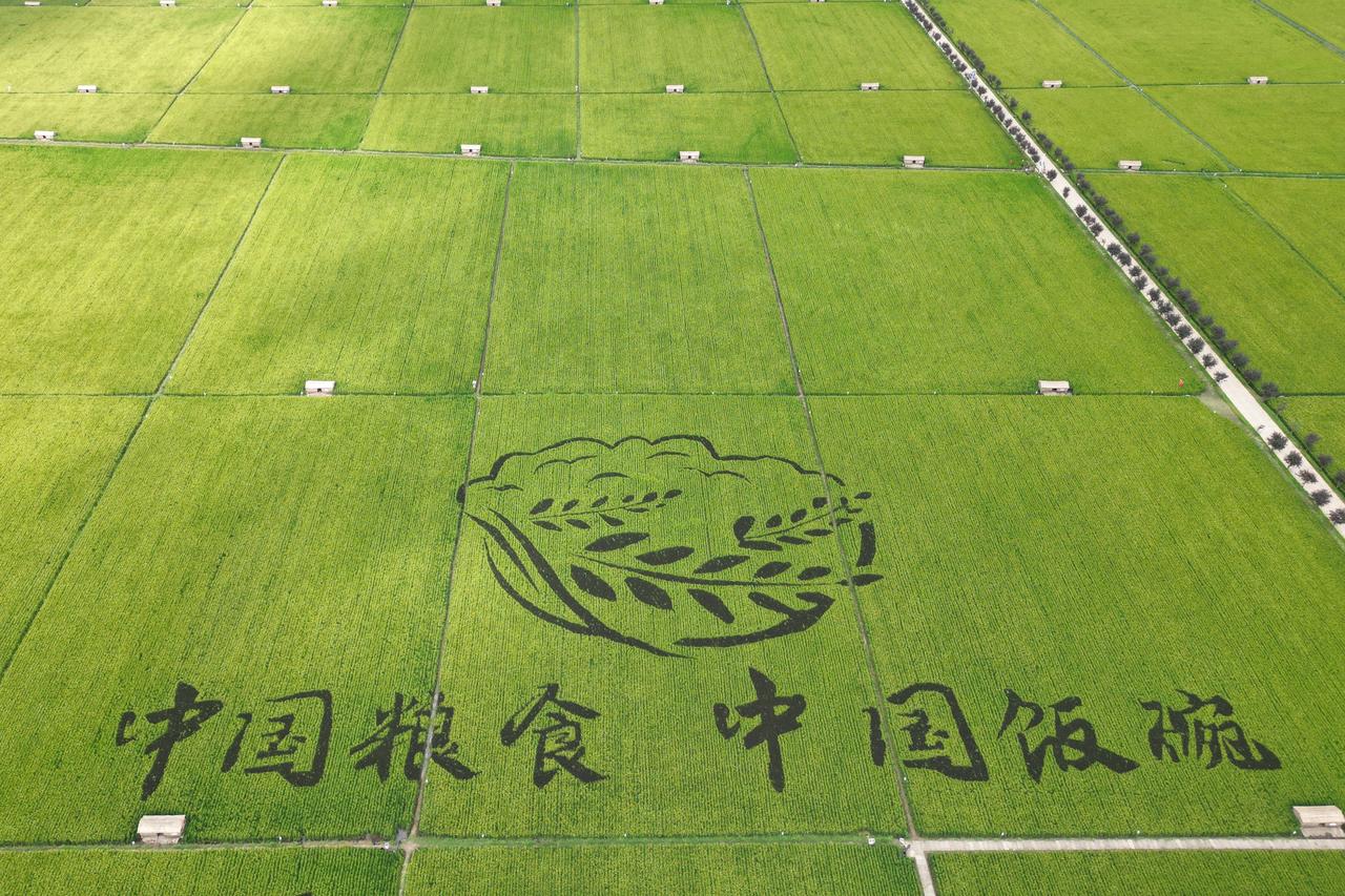 一粒种子里的“粮食安全”，一粒种子！在民以食为天中打下坚强基础，关紧到国家振兴，