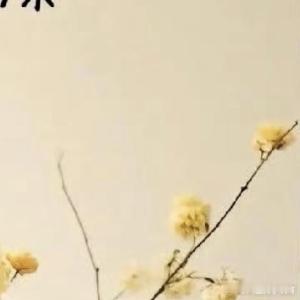 阳光信用  人生蕞好的修行：修心、止语、做自己人生是一场单程修行，修的从来都是自