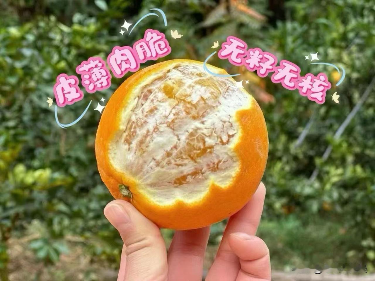 外行人买橙子，看的是哪家价格低；而内行人买橙子，看的是哪家口感与品质好。

世界