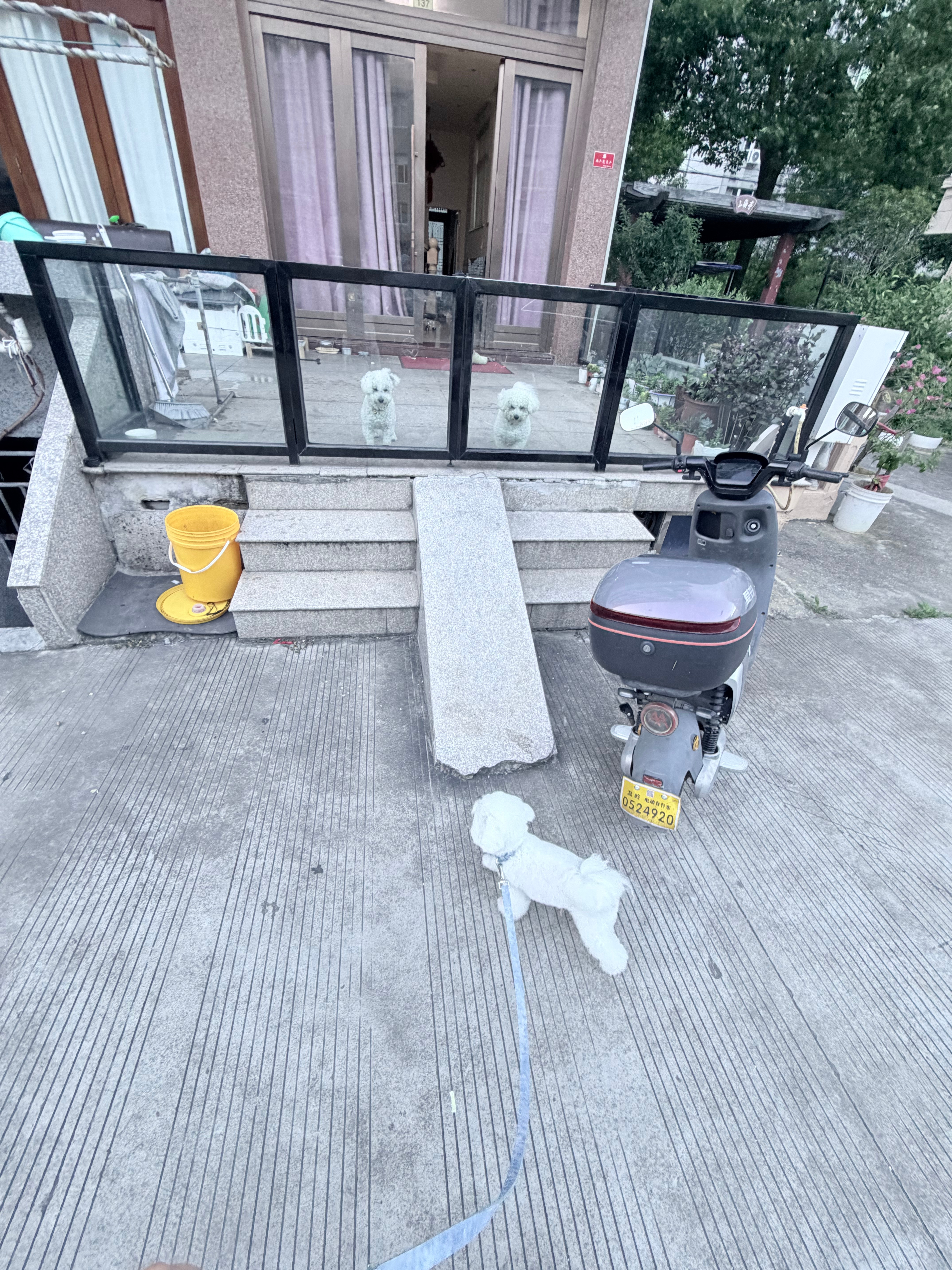 遇到胖瘦仙童了黄岩