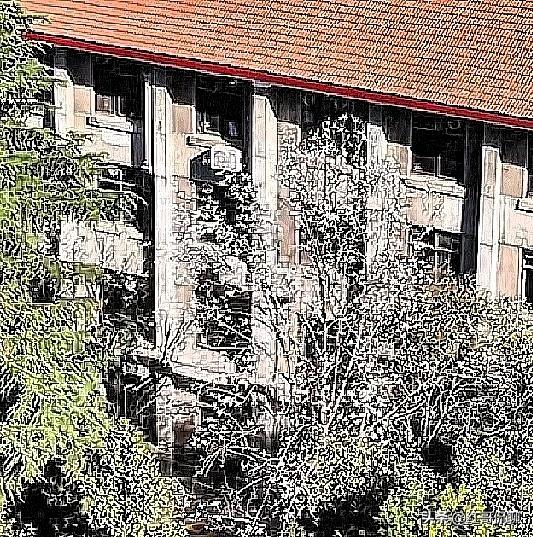 最近有两个英文单词挺火的一个是TACO,一个是TOKEN,你知道这时代单词什么意