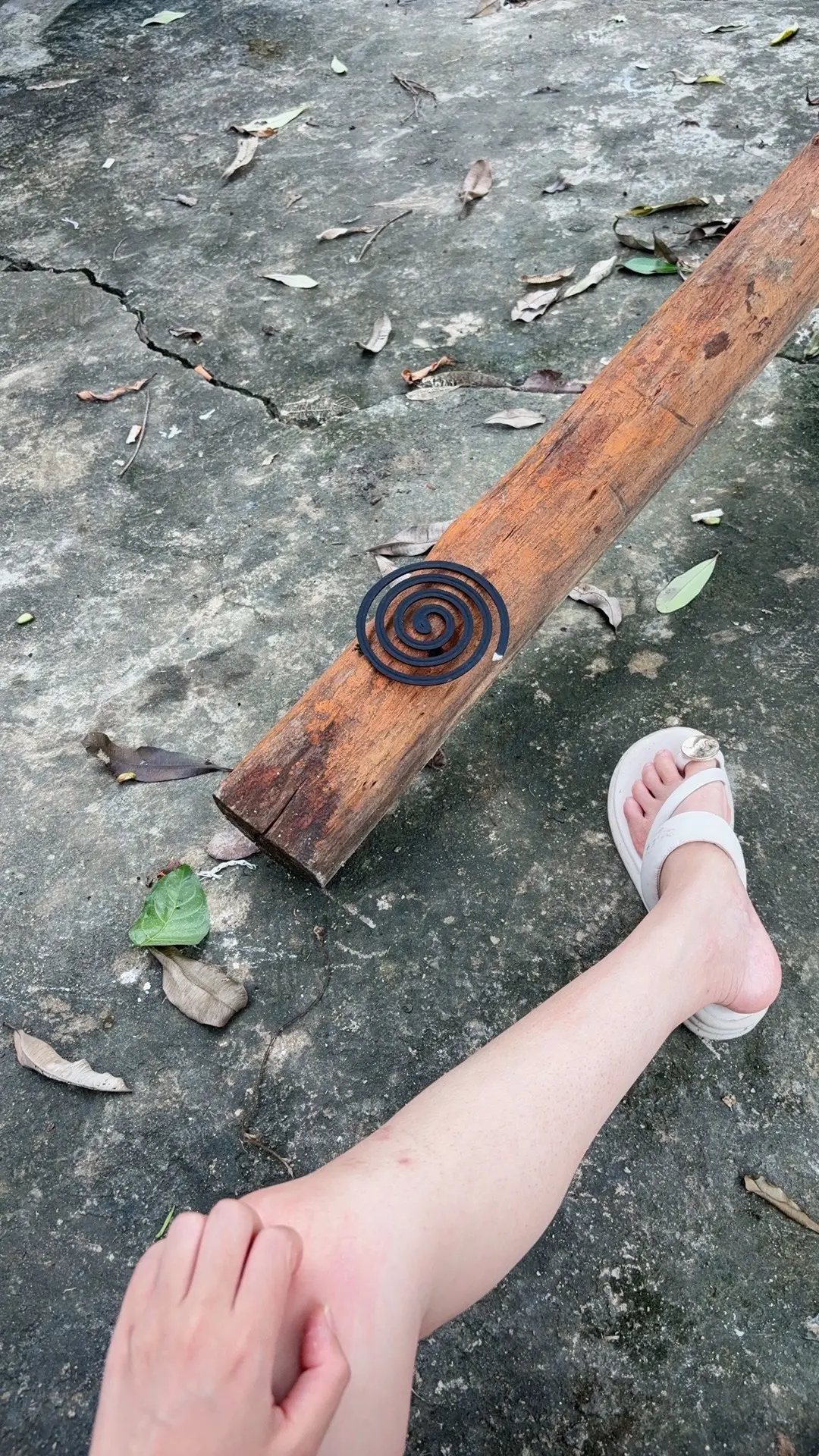 这个蚊香一定是假的