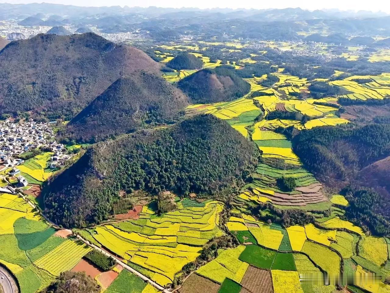 春天的罗平金鸡峰从，满眼都是金灿灿的黄，几十万亩油菜花满山偏野地开放，被誉为“中