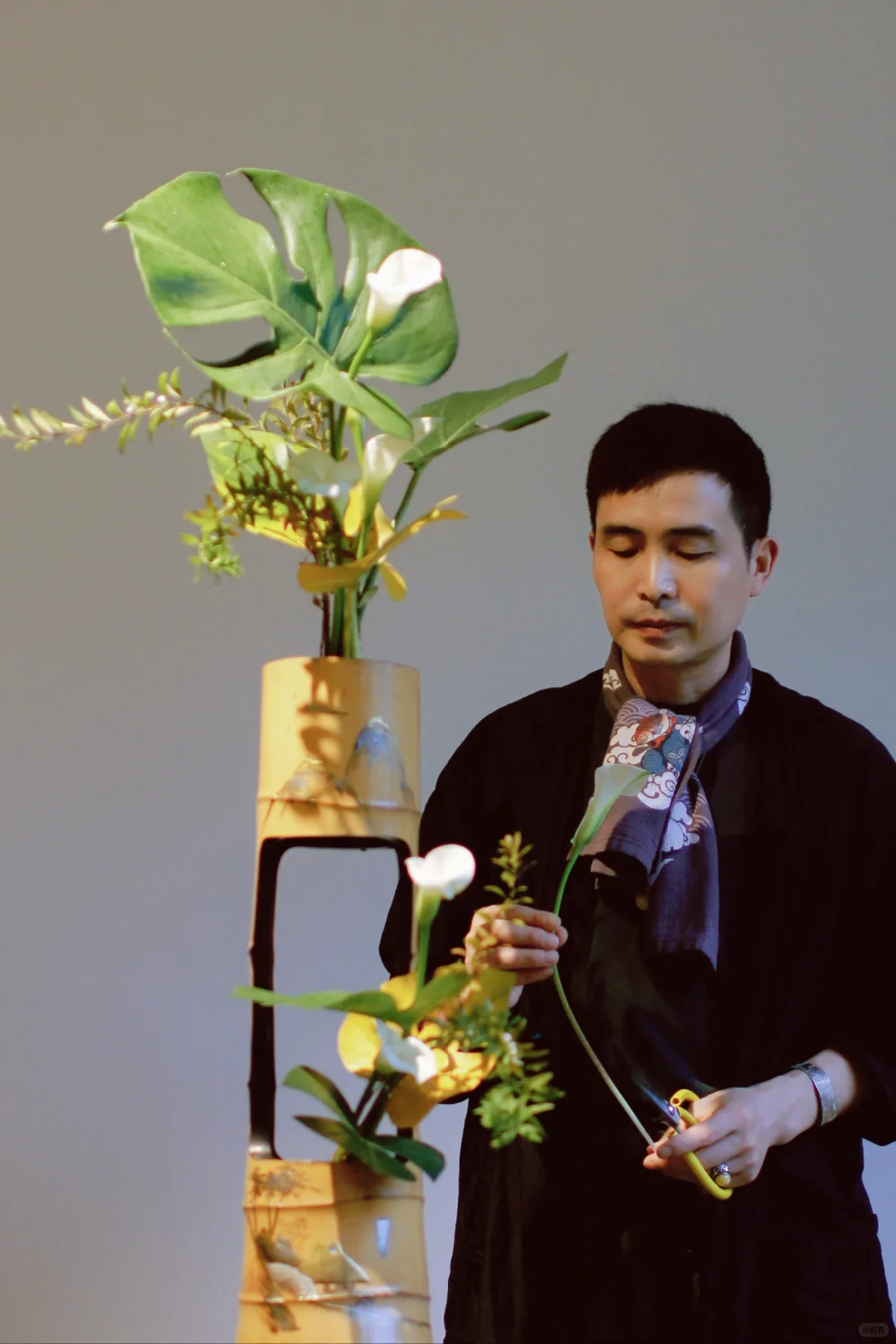 秋天关于花的人与事