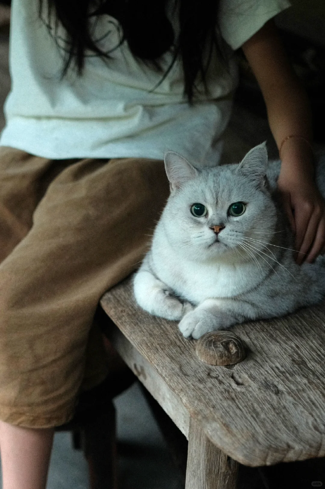 小猫咪和小孩姐的治愈