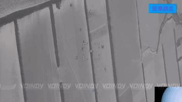 联合攻击。扎波罗热地区的一条防风林，俄“东方”集团军第5集团军第305近卫炮兵旅