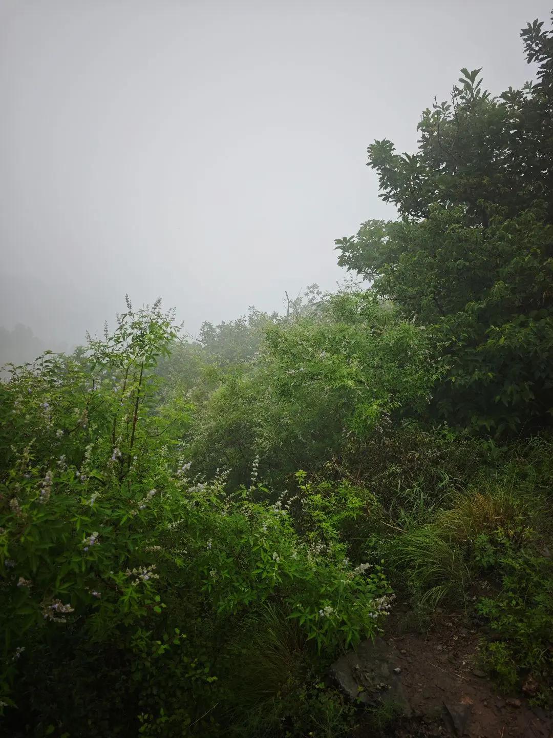 雨中三峰好神秘 恍惚身处哀牢山，最后一张有惊喜。