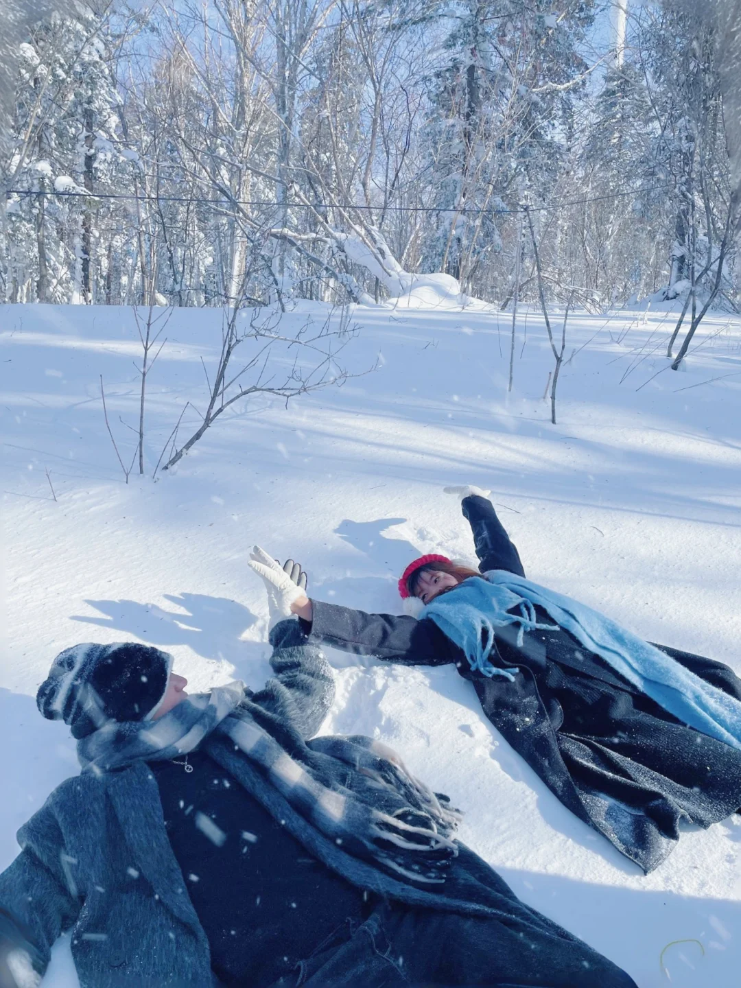 漫步在横道河子浪漫森林❄️云上雾野攻略