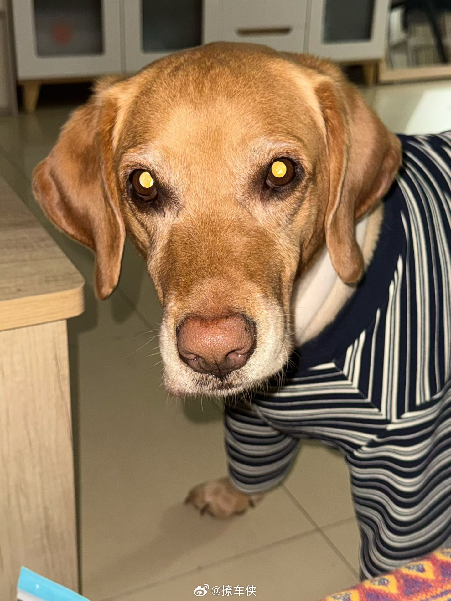 这个点起床的人，都是被生活这款闹钟叫醒的勇士。早安