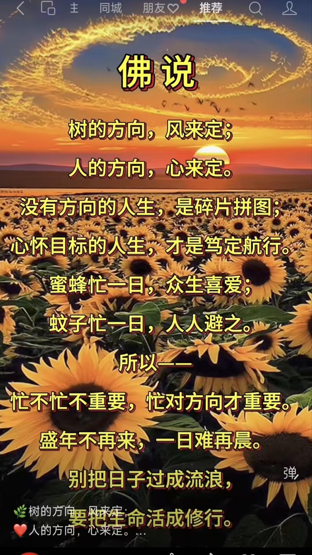 山坡羊·方向
树随风向，
人由心往，
无标前路如残象。
志昭彰，梦飞扬。
蜜蜂勤