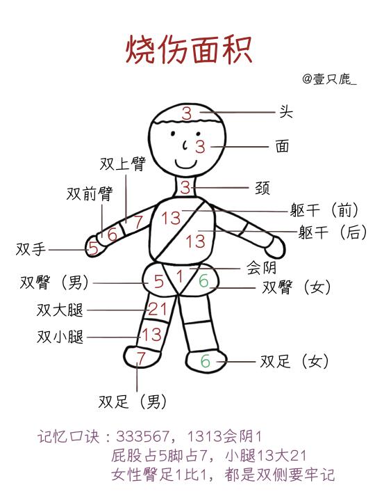 医学生笔记📝｜烧伤知识大全！