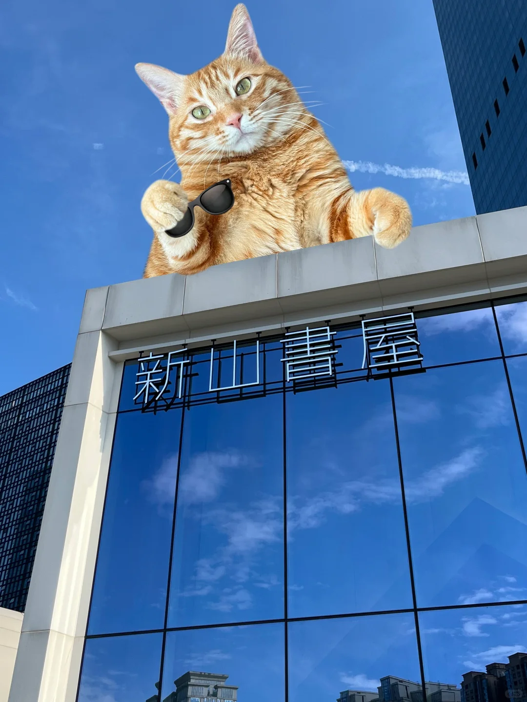 大海这屋，叫新山書屋