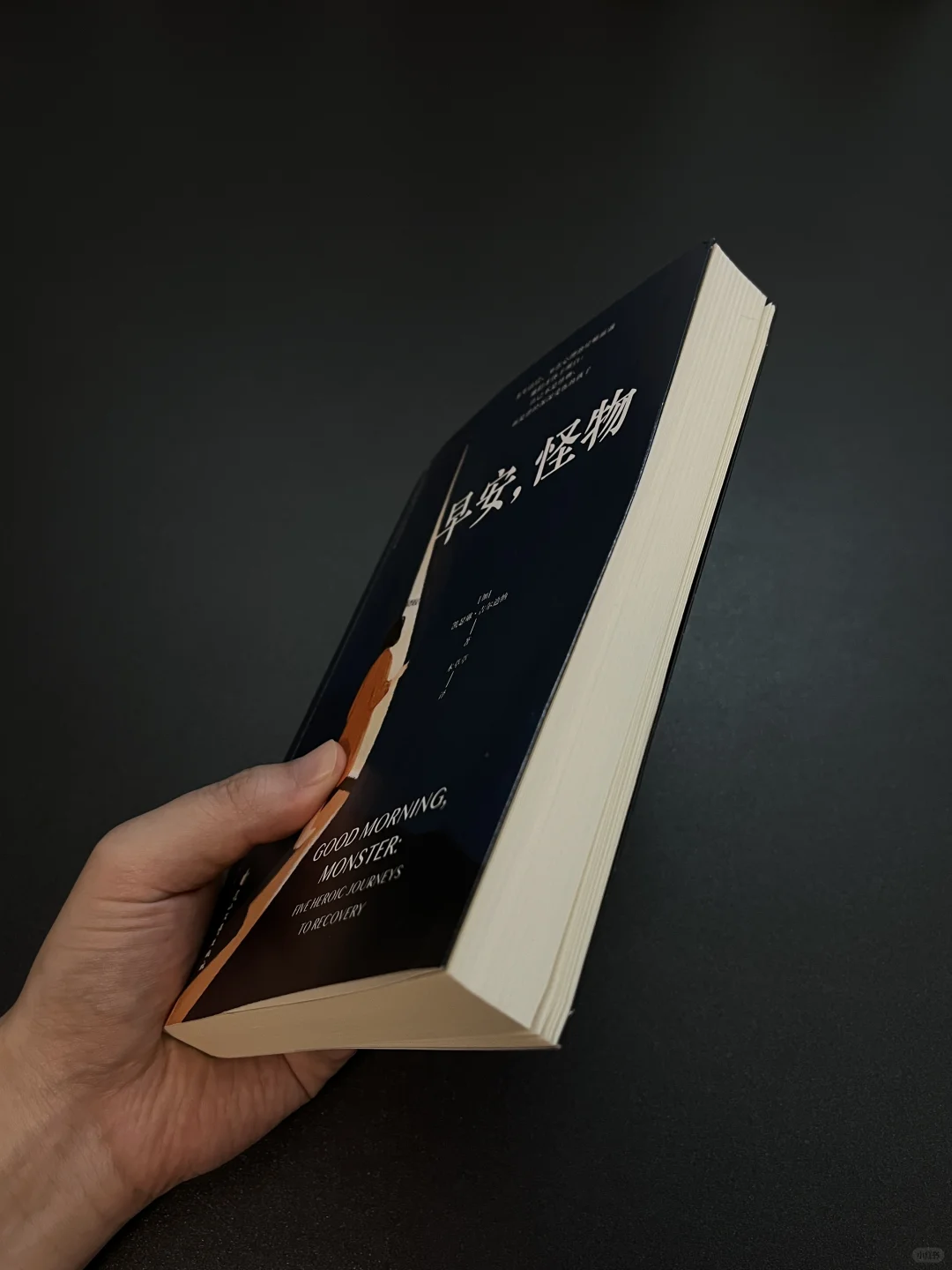 这是我今年读到的最震撼的心理书。