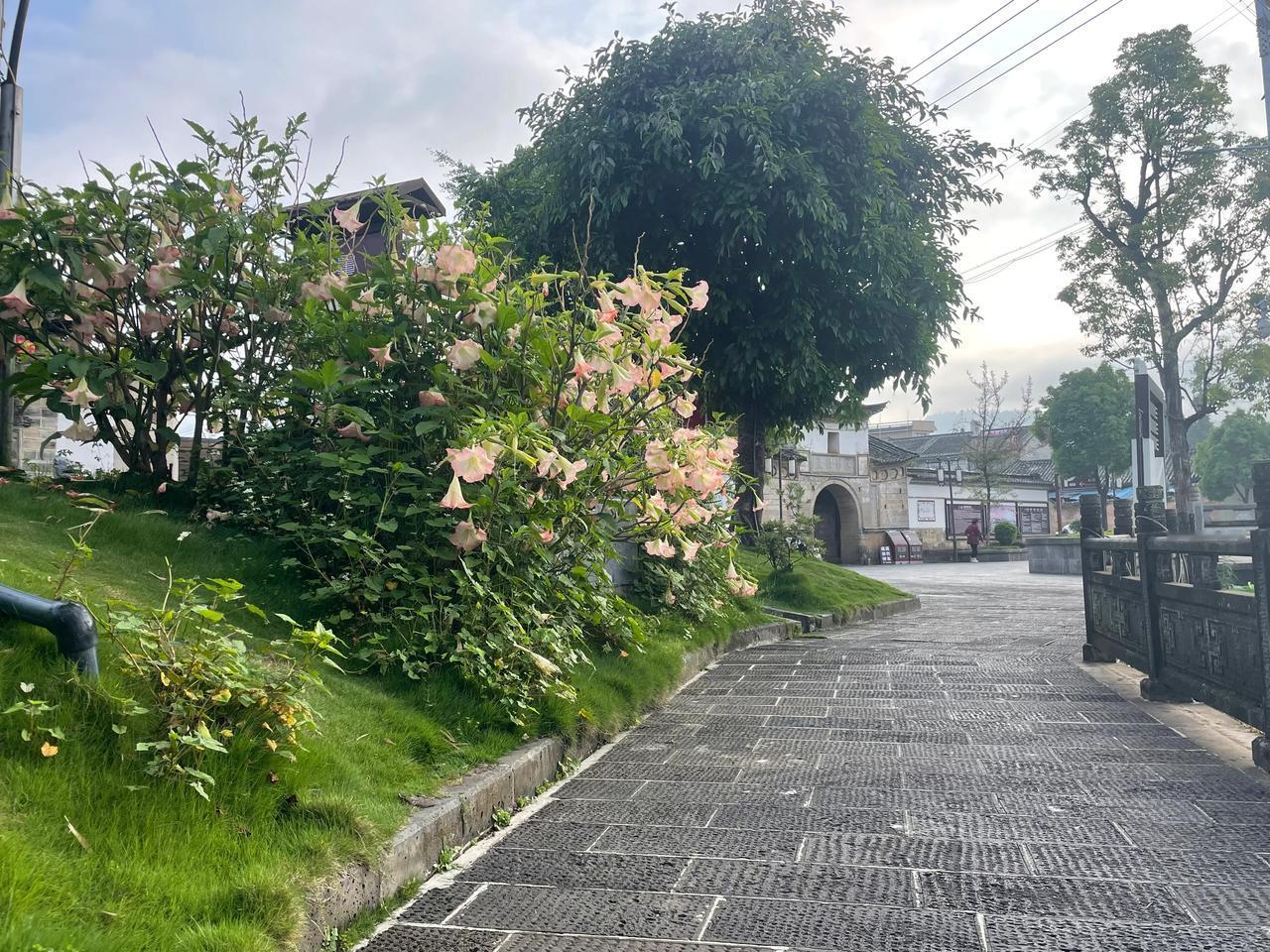 #你听过最浪漫的诗#陌上花开，可缓缓归矣！