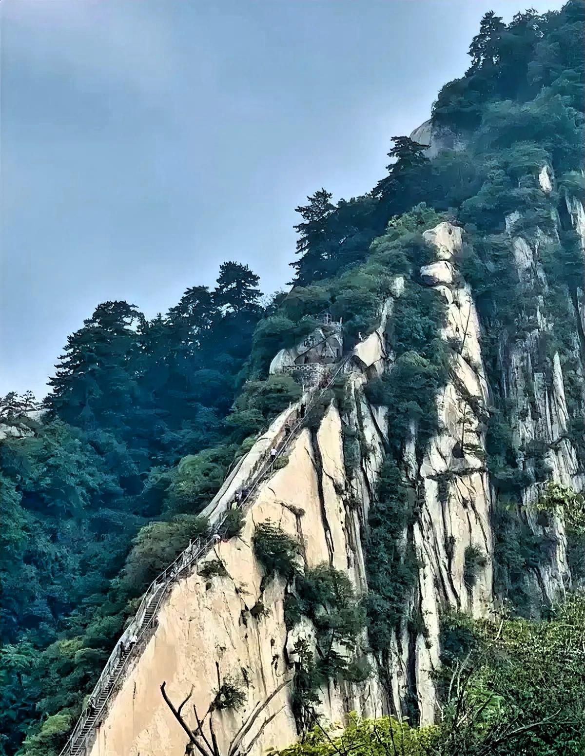 疯了！女子一天两刷华山，刚下山就被景区电话找上门，网友：以为要被拉黑
 
清明假