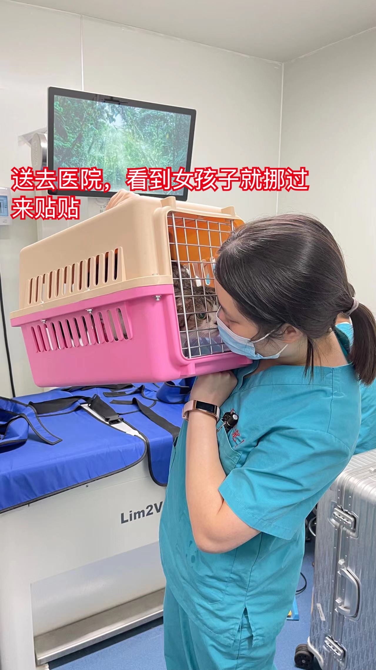 很多朋友可能都不知道，娜娜是四年前因为残疾被扔在店门口的，中间也经历了很多煎熬，
