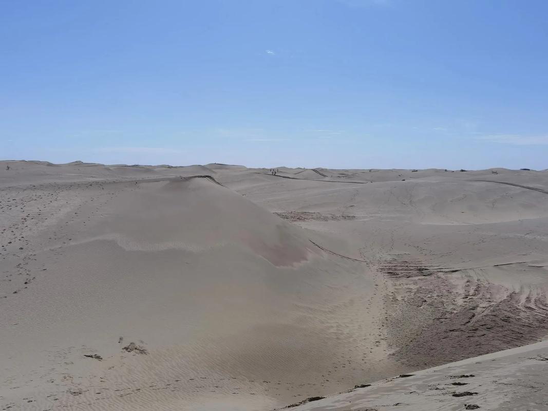 为何要大规模治理塔克拉玛干大沙漠为什么不大规模治理塔克拉玛干大沙漠？这里全是世界