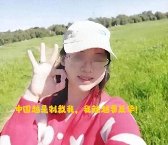 谁错了？汤家凤提议法律从业者政审遭围攻，晒出周军红荒诞言论