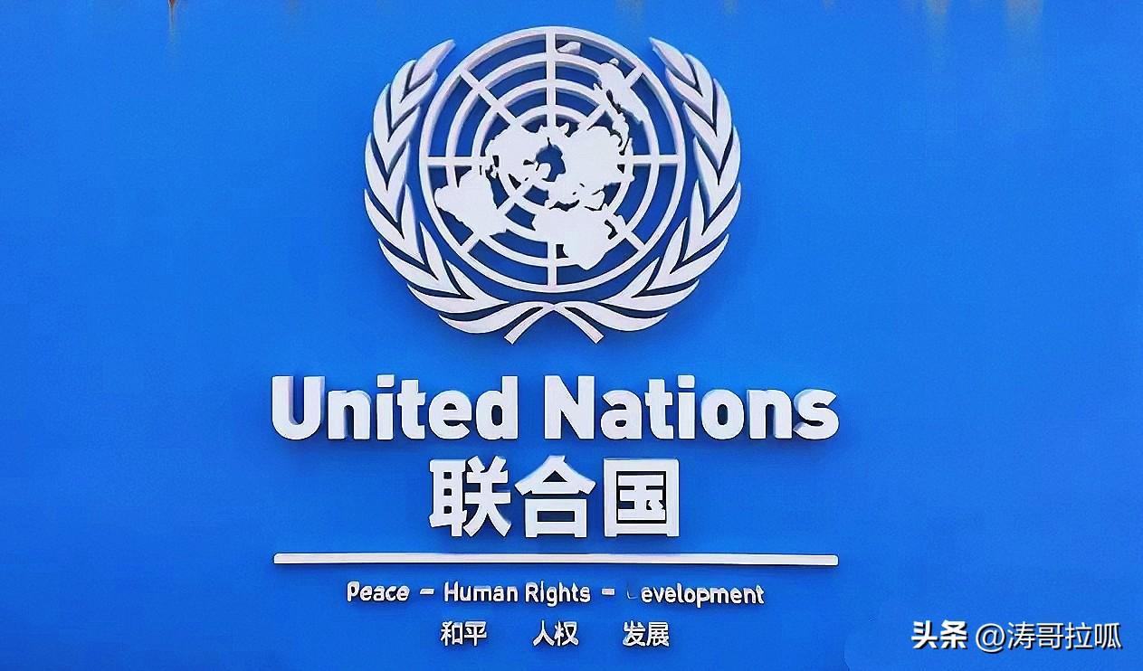 联合国安理会那场停火表决，
把国际政治的现实照得透亮。
中俄为推动中东停火积极斡