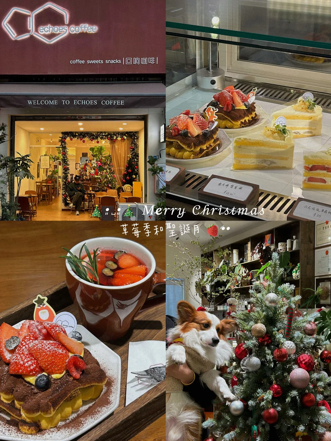 珠海探店 | 值得N刷的店 | 我的美食日記
