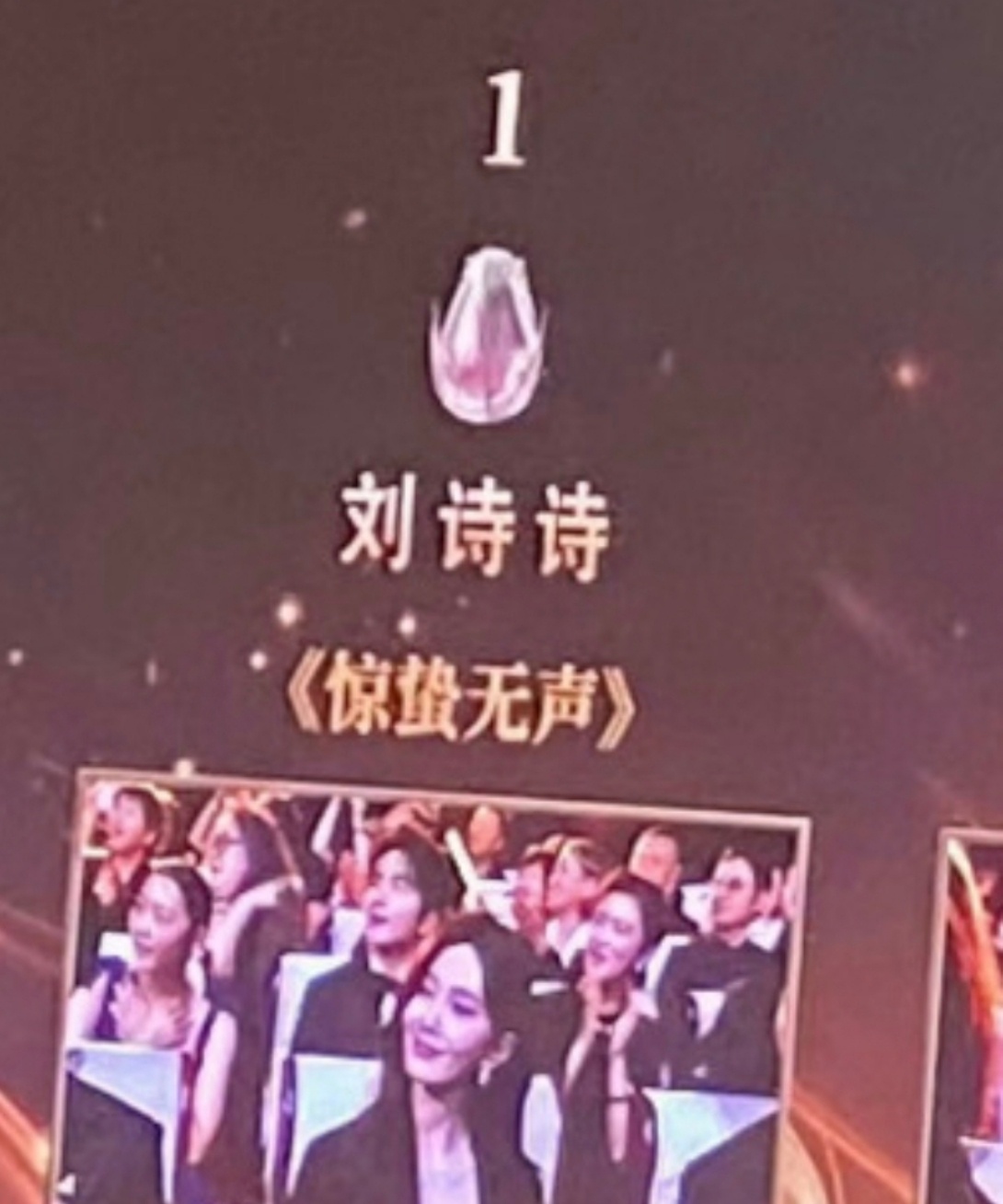 很多人都在问我为什么不嘲笑刘诗诗的1票我只想说对美施善良一点毫不夸张的说这可能是