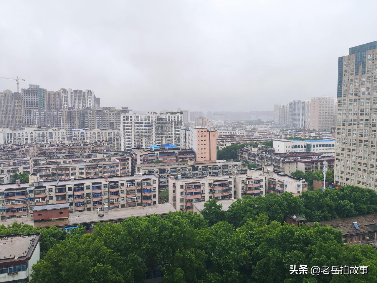 今天郑州的这场雨，有点儿不讲武德，不但姗姗来迟，而且是有点儿慢上劲儿，早上是毛毛