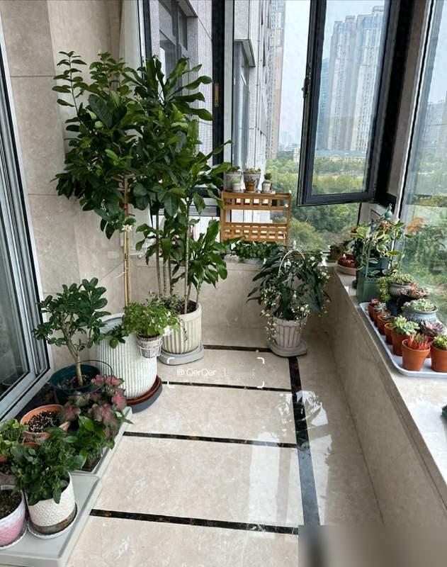 秦岚的家凭什么火？看完才懂：精致不在钱多，在这3个习惯