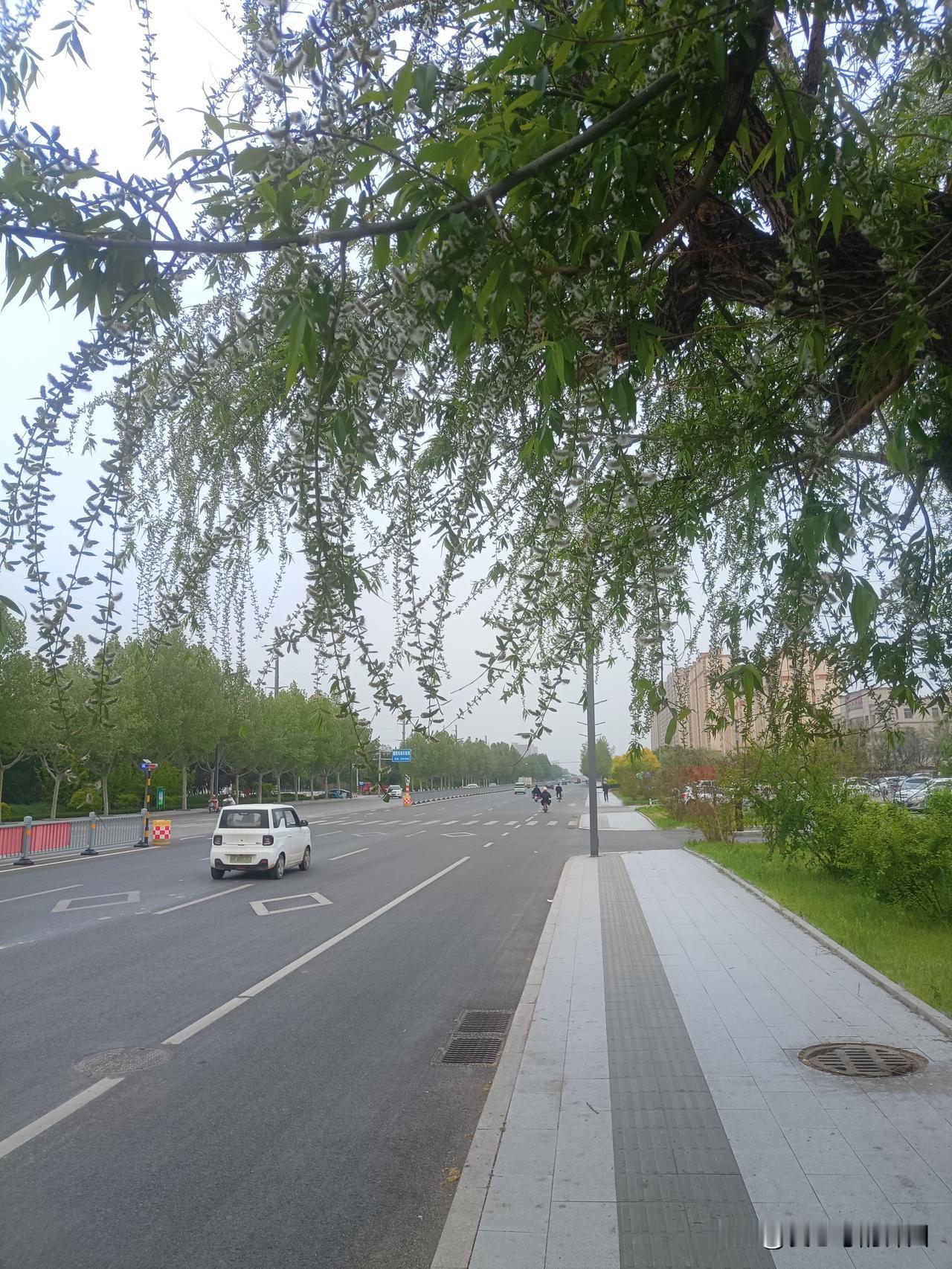 我一进门，老婆问我：外面下雨了吗？
下了，只下了一滴。我郑重其事地回答。
老婆一