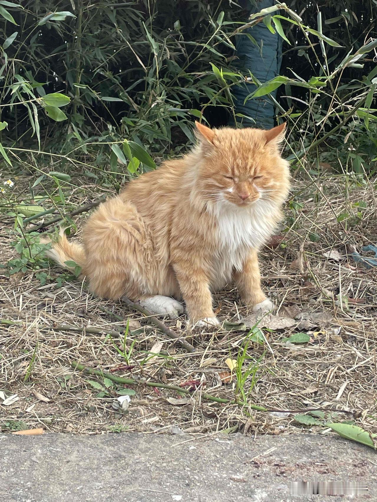 有人问我哪天最重要，
其实我想说，
答案就在咱们的一日三餐里。

今天是攥在手里